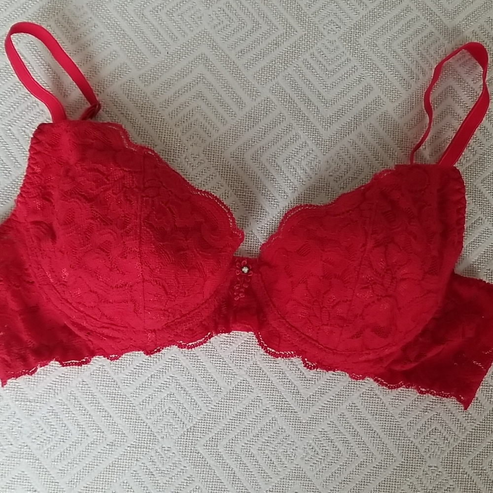 Papillion Blanc Red Lace Bra
